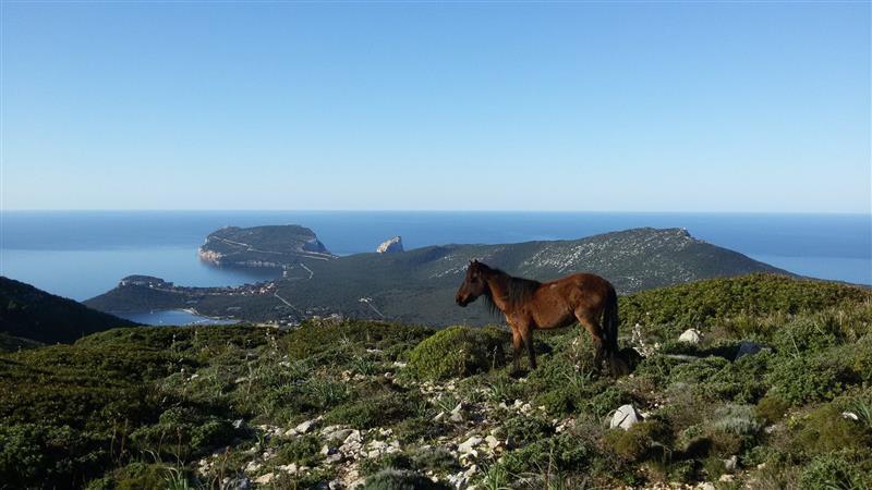 Rita B&B Sea Sun And Nature Santa Maria la Palma Luaran gambar